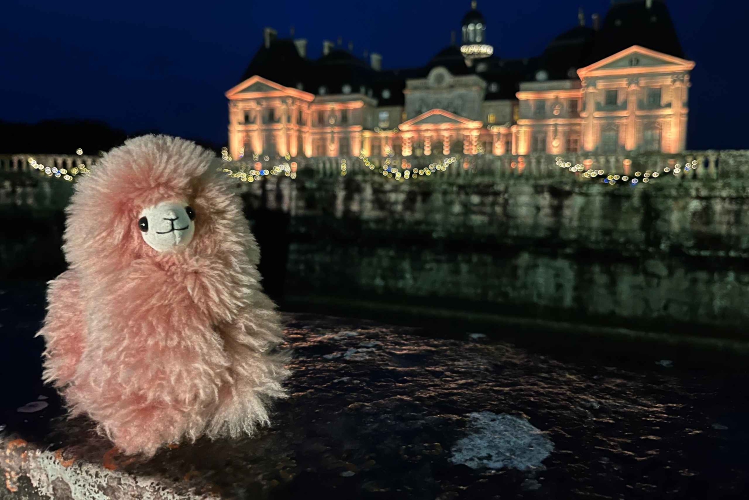 Pariisi: Vaux-le-Vicomte Yksityinen opastettu kierros.