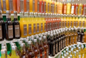 Paris: Versailles Palace and Queen Hamlet E-Bike Tour