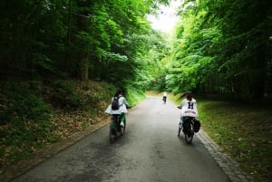 Paris: Versailles Palace and Queen Hamlet E-Bike Tour