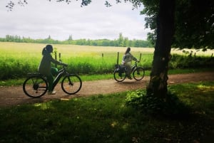 Paris: Versailles Palace and Queen Hamlet E-Bike Tour