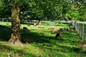 Paris: Versailles Palace and Queen Hamlet E-Bike Tour