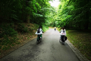 Paris : Visite du château de Versailles et du hameau de la Reine en E-Bike