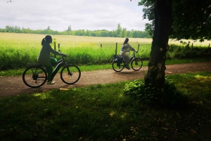 Paris : Visite du château de Versailles et du hameau de la Reine en E-Bike