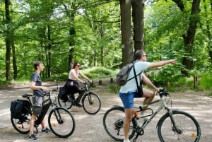 Paris : Visite du château de Versailles et du hameau de la Reine en E-Bike