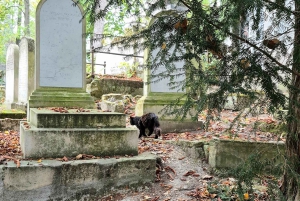 Père-Lachaise: storie e misteri raccontati da un attore