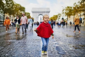 Petit Palais Museo de Bellas Artes de París Visita con Entradas