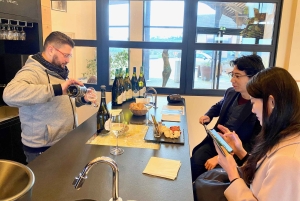 Excursion privée dans les vins rouges et blancs de Bourgogne au départ de Paris