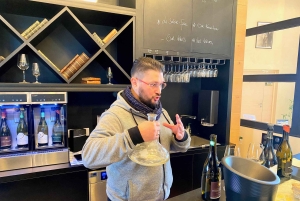 Excursion privée dans les vins rouges et blancs de Bourgogne au départ de Paris