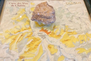 Excursion privée dans les vins rouges et blancs de Bourgogne au départ de Paris