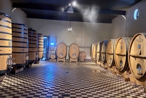 Excursion privée dans les vins rouges et blancs de Bourgogne au départ de Paris