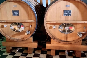 Excursion privée dans les vins rouges et blancs de Bourgogne au départ de Paris