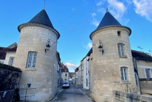 Excursion privée dans les vins rouges et blancs de Bourgogne au départ de Paris