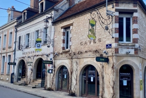 Excursion privée dans les vins rouges et blancs de Bourgogne au départ de Paris