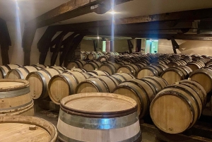 Excursion privée dans les vins rouges et blancs de Bourgogne au départ de Paris