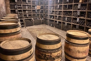 Excursion privée dans les vins rouges et blancs de Bourgogne au départ de Paris