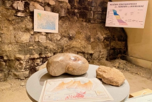 Excursion privée dans les vins rouges et blancs de Bourgogne au départ de Paris