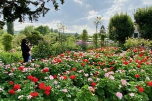 Private Giverny Half-day trip from Paris by Mercedes