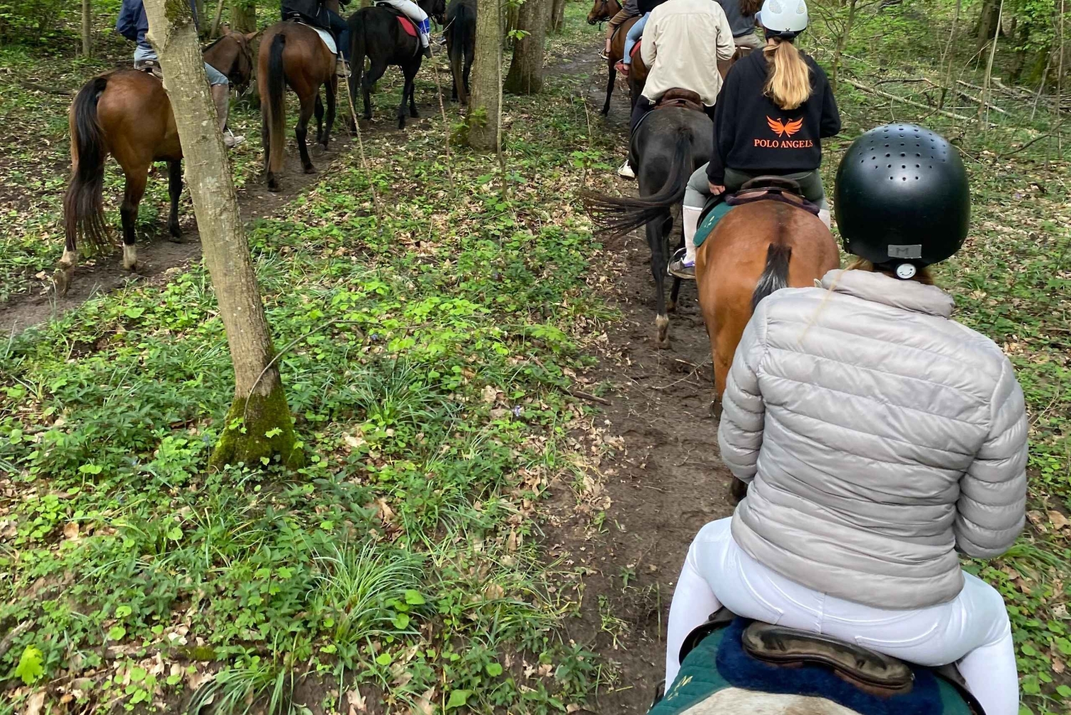 Experiencia privada a caballo