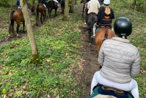 Experiencia privada a caballo