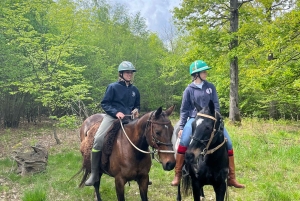 Experiencia privada a caballo