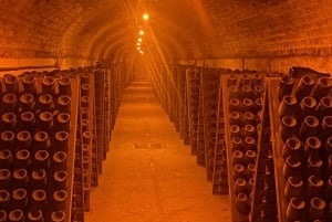 Moet et Chandon Champagne Half day Private trip from Paris