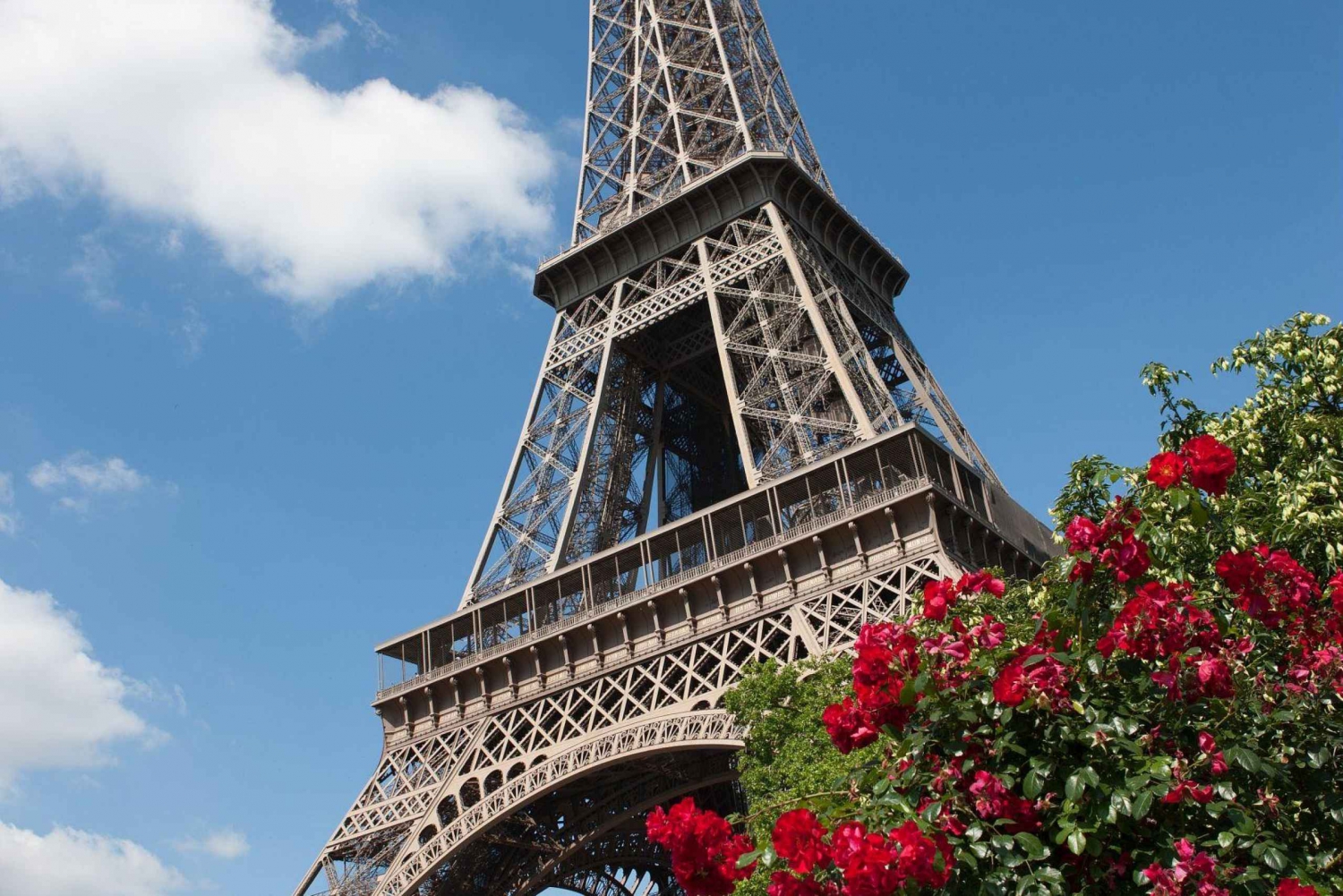 Private Paris city tour with minivan