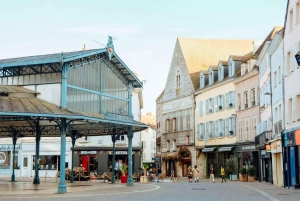 Visite privée de la ville de Chartres au départ de Paris