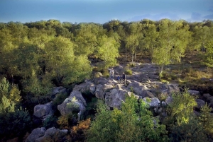 Privat tur till Fontainebleau från Paris. Biljetter ingår!