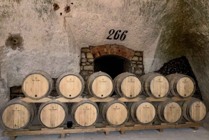 Excursión Privada de Medio Día al Champán Veuve Clicquot desde París