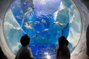 SEA LIFE París: Entrada