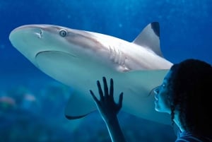 SEA LIFE Paris: Admission Ticket