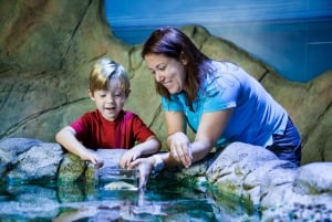SEA LIFE Paris: Admission Ticket