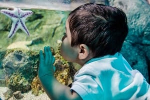 SEA LIFE Paris: Admission Ticket