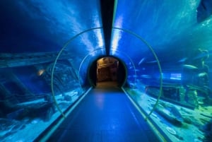 SEA LIFE Paris: Admission Ticket
