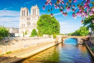 Passeio pela Catedral de Notre-Dame, Louvre e Paris sem filas