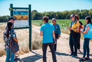 Pienryhmä Giverny ja Van Goghin huone Auversissa Pariisista käsin