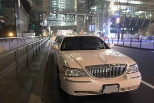 Tour of Paris by limousine by day or night.