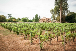 Visite à vélo de Versailles avec entrée au château et à la ferme de la reine