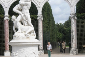 Versalles: Visita guiada privada a los jardines y ticket de acceso al palacio