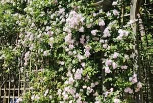 Versailles: Guidad tur med golfbilar och cyklar, Hamlet+fontäner