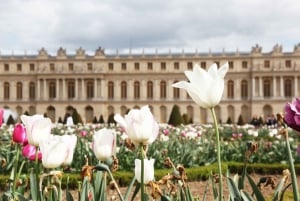 Versailles: Versailles Palace Guided Tour & Gardens Option