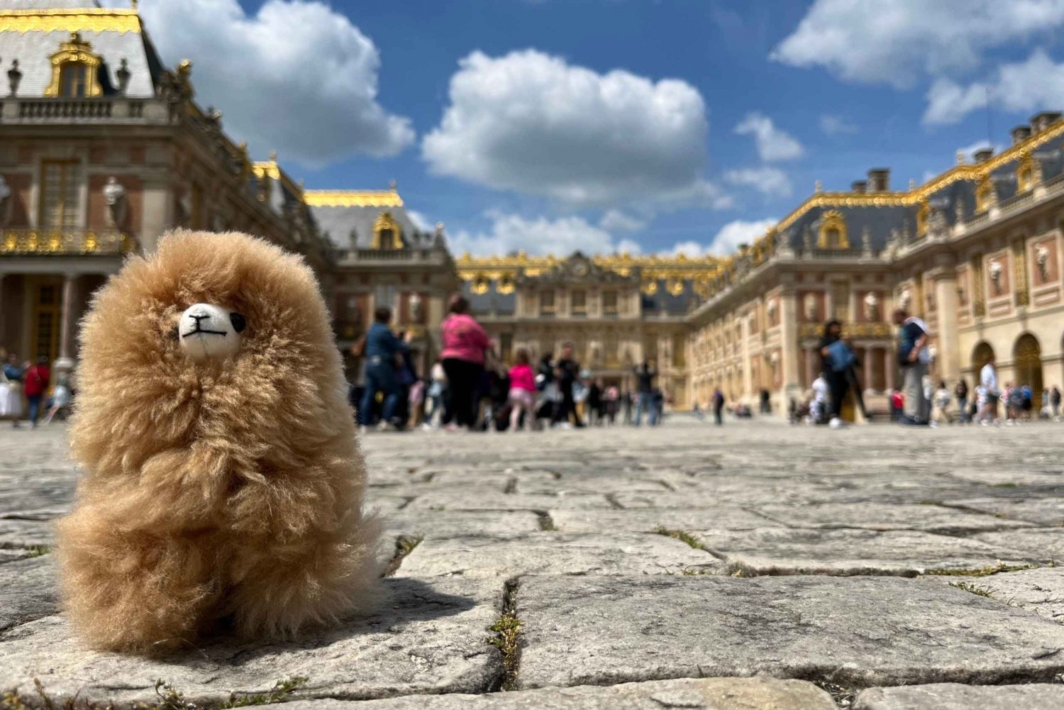 Versailles Half-day Private Tour by Luxury Car