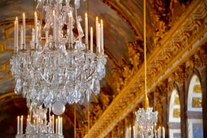 Guidet tur i Versailles-slottet og adgang til haverne 10 PPL
