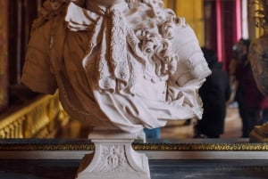 Guidet tur i Versailles-slottet og adgang til haverne 10 PPL