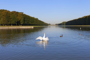 Versailles : Visite guidée 'coupe-file' du château et de ses jardins