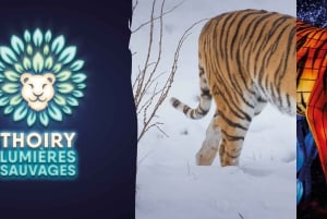 WOW Safari Thoiry Entrance Ticket