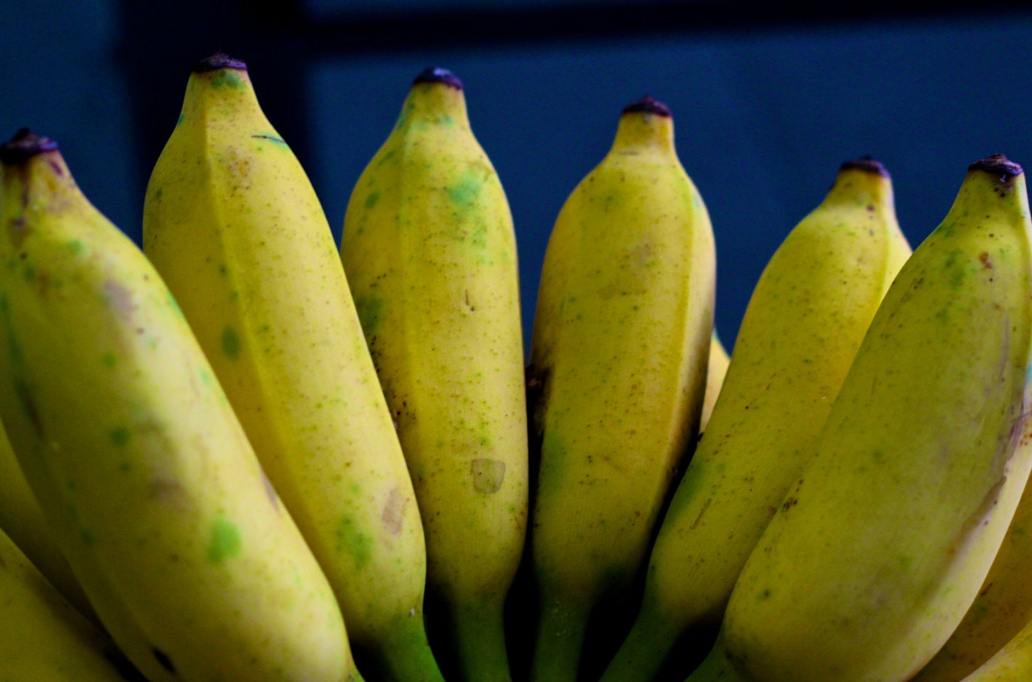 Water banana