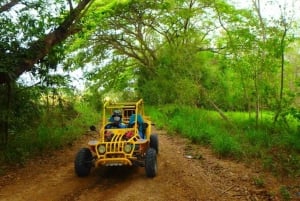  2-Hour ATV Off-Road Adventure Tour with Meal