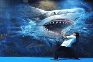 Art in Paradise 3D Museum Entrada con descuento