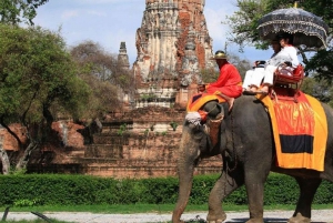 Fra Bangkok: Privat guidet dagstur i Ayutthaya